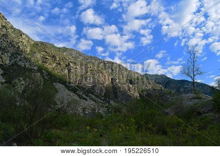 Hill of Altai mountains on a blue sky with white clouds background. Altay Republic Siberia Russia.