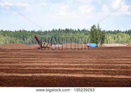 Bog And The Field On Which The Production Is Carried Out In Black Peat Mining
