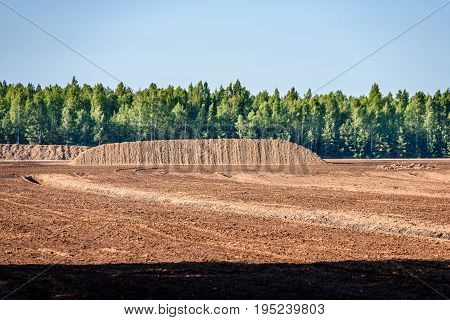Bog And The Field On Which The Production Is Carried Out In Black Peat Mining