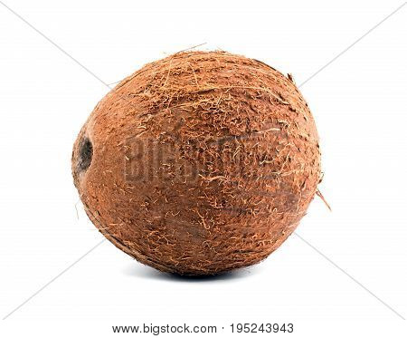Close fresh coconut, isolated on a white background. Exotic fruit coconut. A whole and tasty brown coconut. Freshness, nature, summer concept. A tropical coconut. Healthful lifestyle.