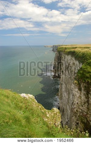 Bempton útesy na pobřeží North Yorkshire