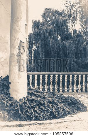 Old vintage photos. Oid Shabby Ruins column park copy space