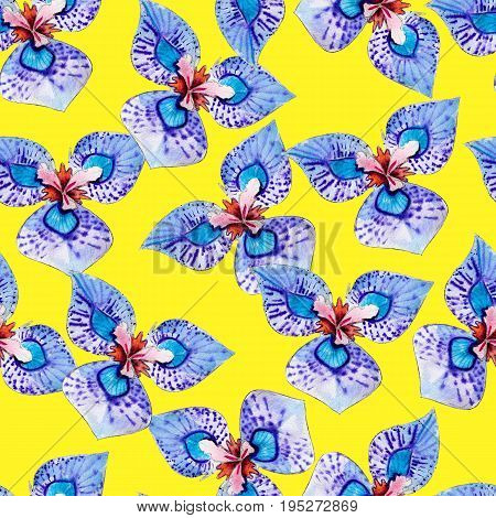 Moraea watercolor seamless pattern. Bright tropical flowers isolated on yellow background hand-drawn design for background textile wrap and etc.