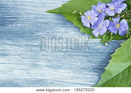 Blue flax on a blue wooden background