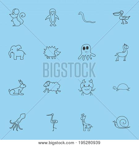 Set Of 16 Editable Animal Icons. Includes Symbols Such As Urchin, Shadoof, Polar Bird And More. Can Be Used For Web, Mobile, UI And Infographic Design.