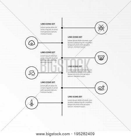 Set Of 6 Editable Zoo Icons. Includes Symbols Such As Calamary, Beetle, Elephant And More. Can Be Used For Web, Mobile, UI And Infographic Design.