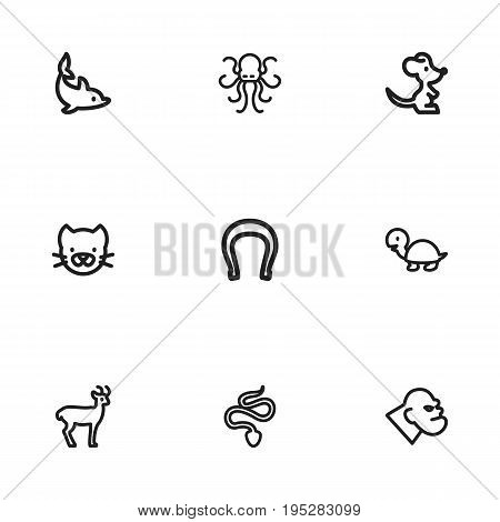 Set Of 9 Editable Zoo Icons. Includes Symbols Such As Gorilla, Snake, Poulpe And More. Can Be Used For Web, Mobile, UI And Infographic Design.