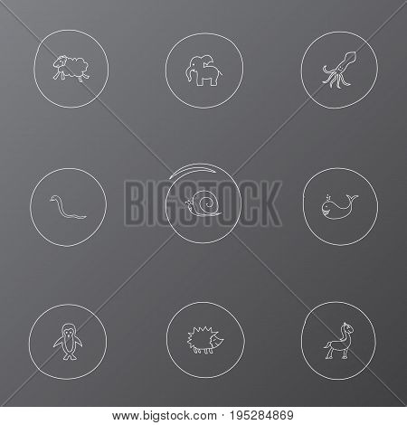 Set Of 9 Editable Animal Icons. Includes Symbols Such As Polar Bird, Slug, Pony And More. Can Be Used For Web, Mobile, UI And Infographic Design.