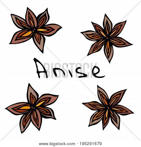 Stars of Anise. Realistic Hand Drawn Doodle Style Sketch. Vector Illustration Isolated On a White Background.