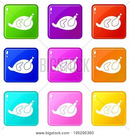 Gammon icons of 9 color set isolated vector illustration