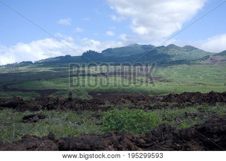 View of Black lava rocks line the shore at Keanae on the road to Hana in Maui, Hawaii