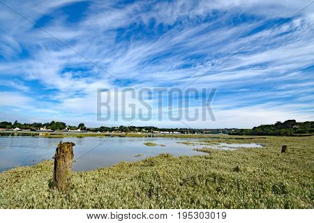 Bideford North Devon England 13th July 2017 - The new bridge across the River Torridge at Bideford in North Devon England taken from the Tarka Trail looking north