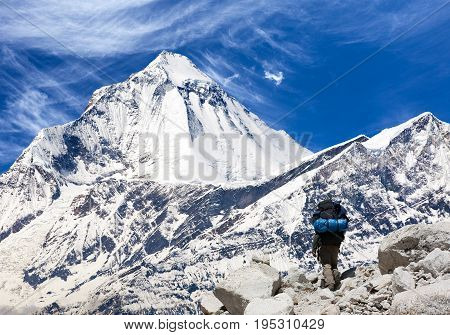 View of mount Dhaulagiri with tourist great himalayan trail Nepal