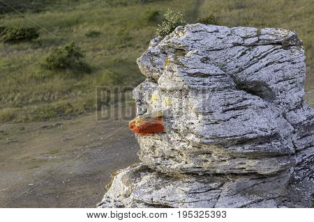 The 