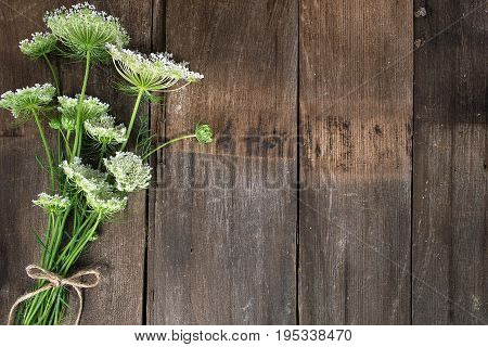 Queen Anne's Lace bouquet tied with string bow on rustic wood