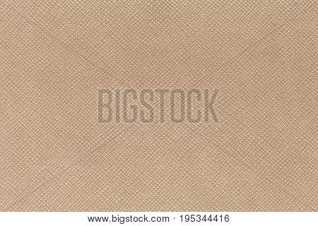 Texture detail of brown lether like an Elephant skin