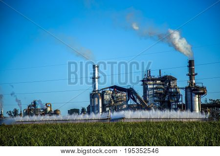 Sugar Cane Industry