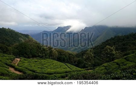 A scenic view of the western ghats near Munnar, Tamil Nadu