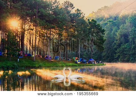 Morning at Pang Ung lake Pang Ung Mae Hong Son province North of thailand