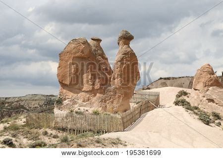 Camel Shaped Rock Formation In Devrent Valley, Cappadocia
