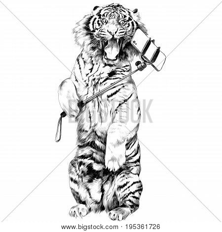 the tiger stands on hind legs with open mouth and makes a selfie sketch vector graphics black and white drawing