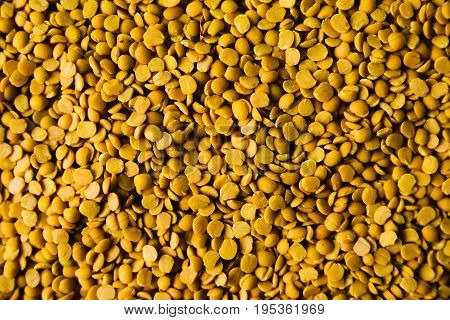 Fresh lentils on display at a nearby farmer's market. Traditional Raw Vegan source of Protein!