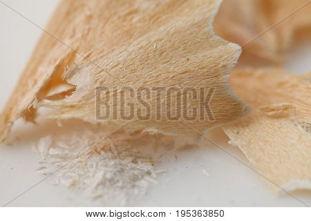 Colored Pencil Chips (shavings) On White Background In A Carnation Flower Pattern, Looking Isolated