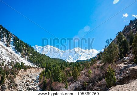 Nanga Parbat and Fairy Meadows Panorama, Himalaya, Pakistan