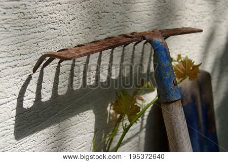 Old rusty garden rake on light yellow parget wall. Traditional gardening tool.