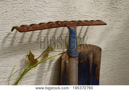 Old rusty garden rake on light yellow parget wall. Traditional gardening tool.