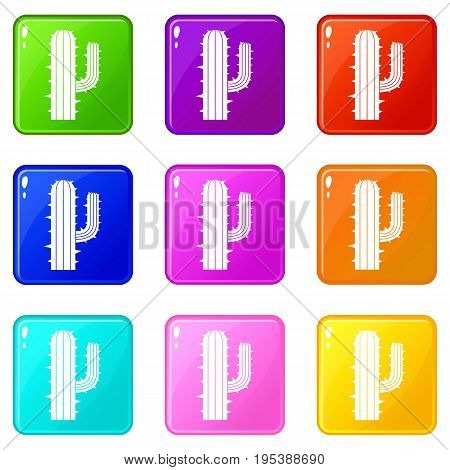 Mexican cactus icons of 9 color set isolated vector illustration