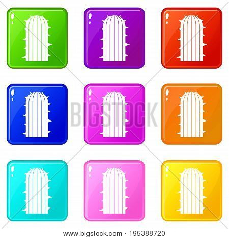 Plant of desert icons of 9 color set isolated vector illustration