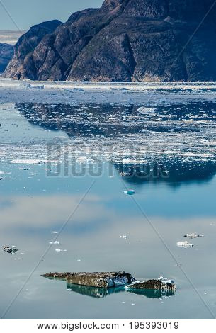Small icebergs and reflections near a glacier Greenland