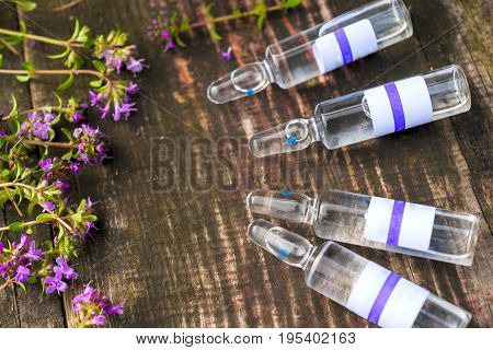 Alternative Medicine.thyme And Medical Ampoules. Essential Oils