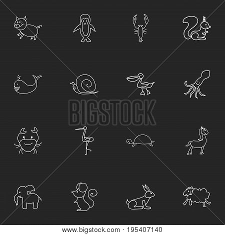 Set Of 16 Editable Animal Icons. Includes Symbols Such As Slug, Shadoof, Cancer And More. Can Be Used For Web, Mobile, UI And Infographic Design.