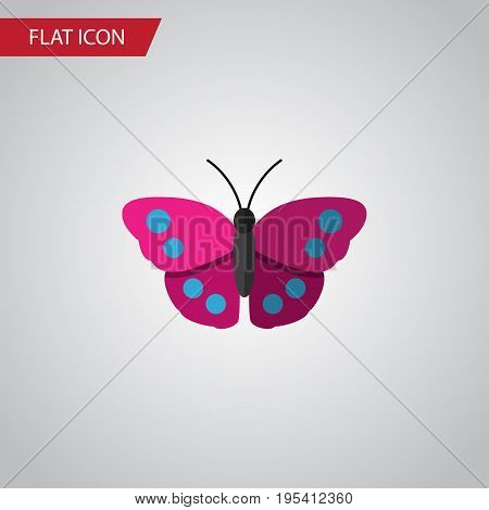 Isolated Violet Wing Flat Icon. Archippus Vector Element Can Be Used For Archippus, Butterfly, Monarch Design Concept.