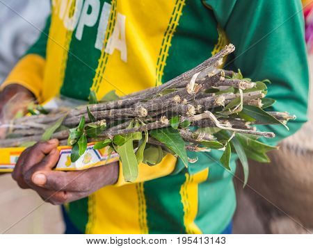AXUM ETHIOPIA- June 30 2016: A boy selling mefakia a natural wooden toothbrush used in Ethiopia.