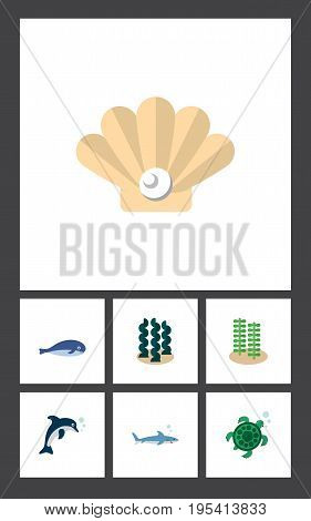 Flat Icon Marine Set Of Cachalot, Playful Fish, Conch And Other Vector Objects. Also Includes Tortoise, Humpback, Cachalot Elements.