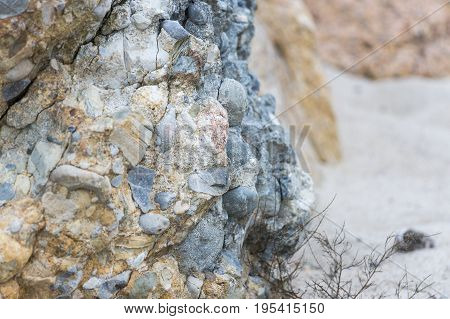 Puddingstone rock outcrop on New England beach