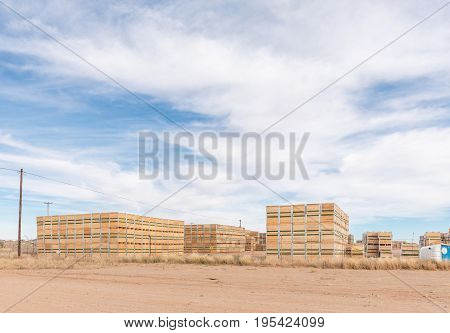 KEIMOES SOUTH AFRICA - JUNE 12 2017: Wooden crates at the packing warehouse of RedSun Raisins in Keimoes in the Northern Cape Province