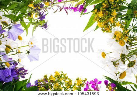 Creative layout with flowers, space for text. Studio Photo