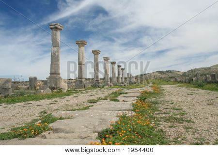 แถวของคอลัมน์โรมันโบราณ Volubilis