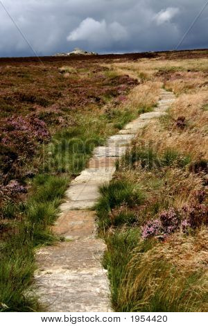 Simonside Hills Northumberland