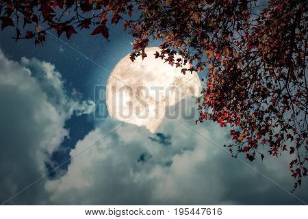 Beautiful autumn fantasy - maple tree in fall season and full moon with cloud star in night skies background. Retro style artwork with vintage color tone