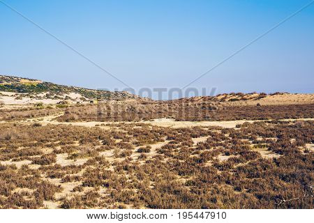 golden beach Karpaz, North Cyprus. Golden sand beach and mediterranean sea in North Cyprus