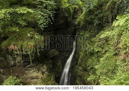 Beautiful Flowing Waterfall With Magical Fairytale Feel In Lush Green Forest Location