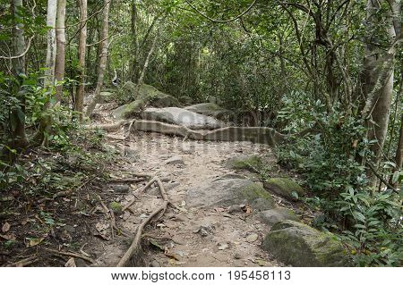 nature walkway in Khao Chamao , Rayong , Thailand