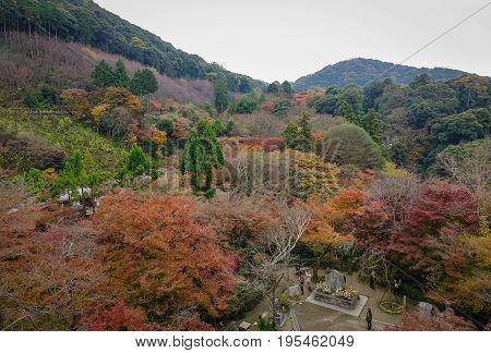 Autumn Scenery In Kyoto, Japan