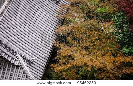 Kiyomizu-dera Shrine In Kyoto, Japan
