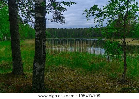 Landscape Of Lakes And Forest Along The Punkaharju Ridge